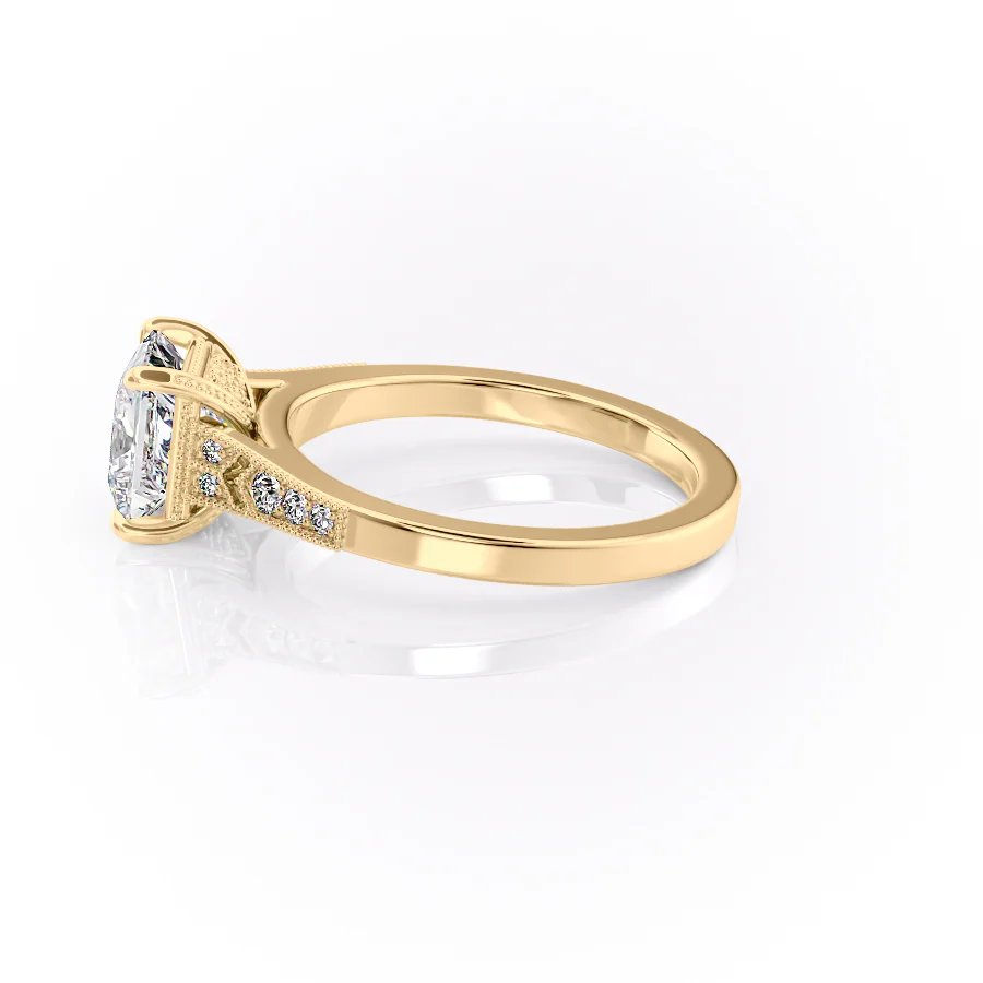 The Dianne Set With A 2.5 Carat Princess Lab Diamond